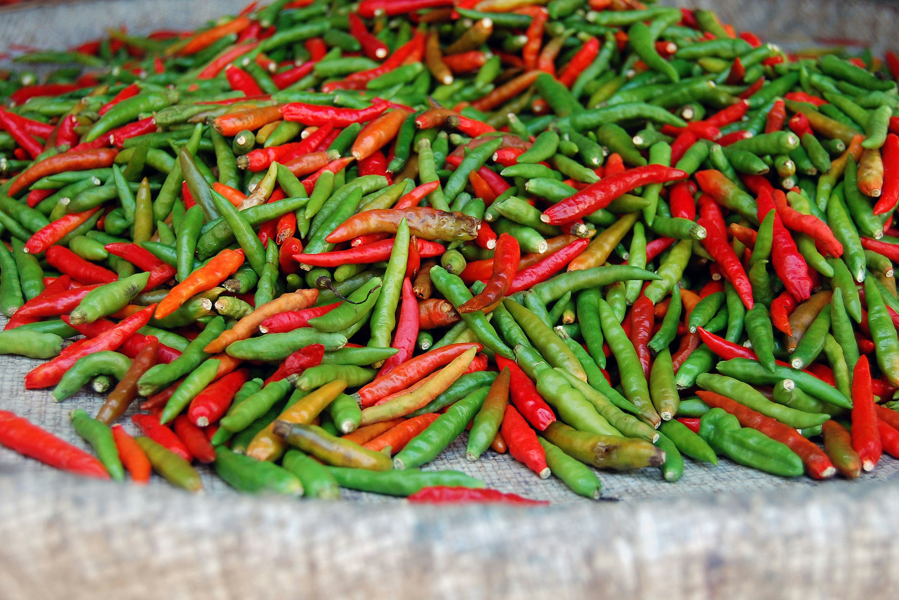 close-up photography of green and red chili